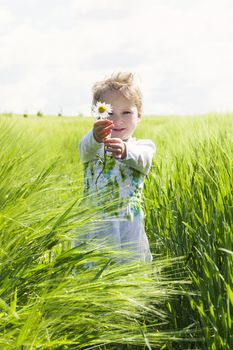 Beautiful baby girl hodling flower in green field on sunny spring day. Spring and summer concept.