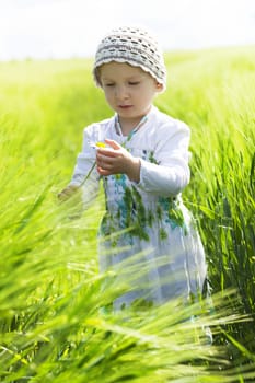 Cute baby girl hodling flower on sunny day in green field. Happiness and Love.