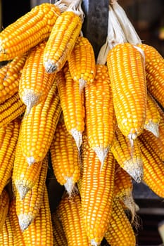 Dry corn was stored as seeds.