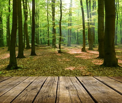 Empty wooden deck table with forest in background