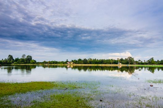 Pond and clouds in spring nature landscape in Thailand