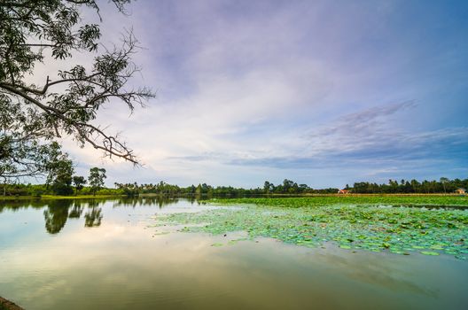 Pond and clouds in spring nature landscape in Thailand