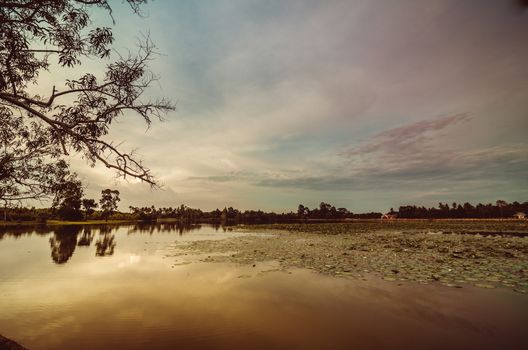 Pond and clouds in spring nature landscape in Thailand