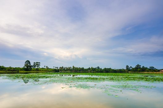 Pond and clouds in spring nature landscape in Thailand