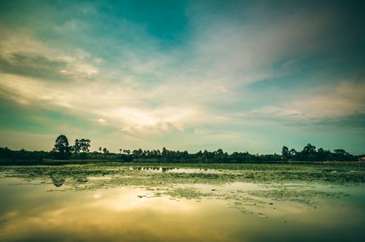 Pond and clouds in spring nature landscape in Thailand