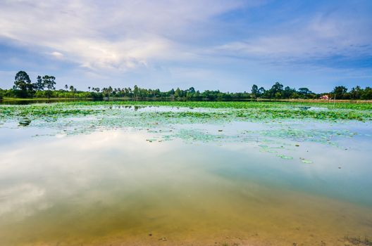 Pond and clouds in spring nature landscape in Thailand