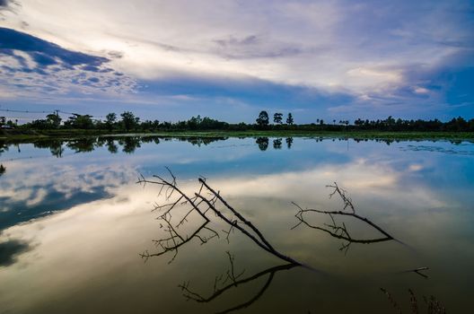 Pond and clouds in spring nature landscape in Thailand