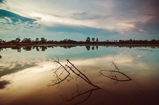 Pond and clouds in spring nature landscape in Thailand