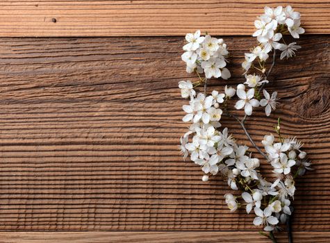 Spring blossom on wooden background 