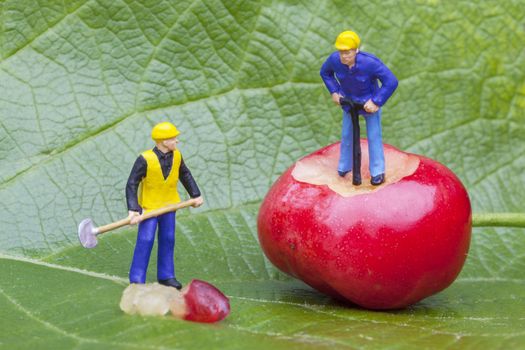 Cherry and workers figurine on a leaf