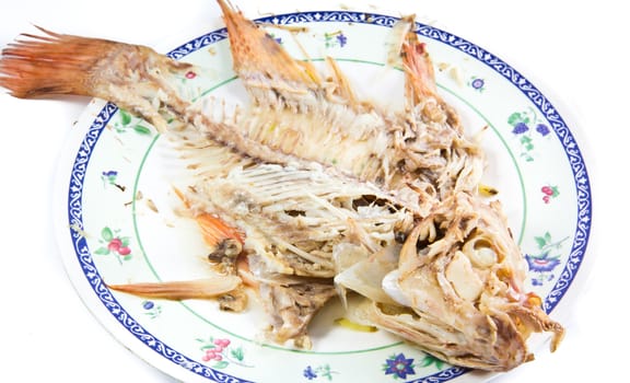 Steamed fish ginger on beatiful plate isolated on white background