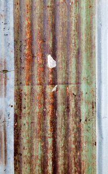 dirty and Rusted,galvanized iron roof ,large tin background 