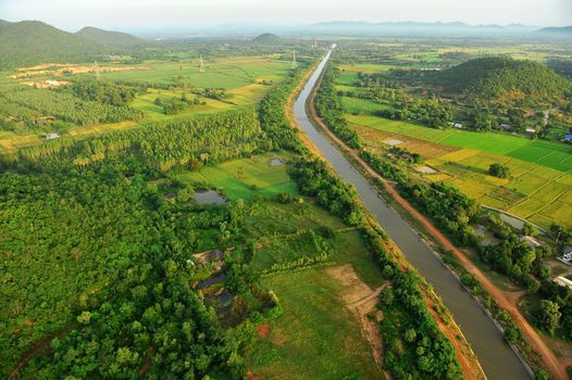 Bird eye view of rice field in Thailand