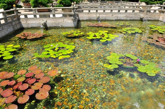 Chi Lin Nunnery in Hong Kong. The traditional architecture in the Tang Dynasty Style.