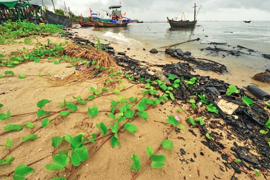 oil polution on the beach, Thailand