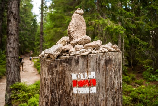 tourist mark on a stump with rocks