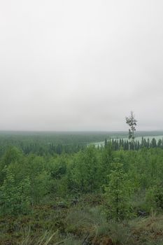 Northern landscape with forest and lakes at cloudy weather