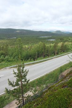 Landscape with forest and road, top view