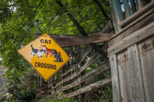 Cat crossing sign in Jerome Arizona Ghost Town mine