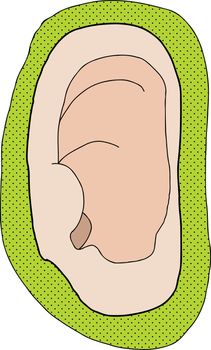 Close up of human ear with green background