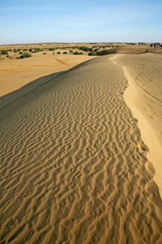 Sand dunes landscape