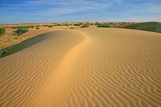 Sand dunes landscape