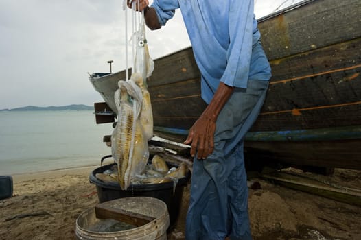 Fisherman holding squids in his hands