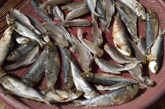 fish drying