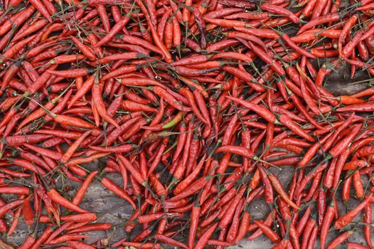 Close up of dried chilli, food ingredient
