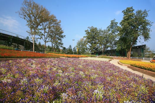 Royal Flora Expo, Chiang Mai, Thailand