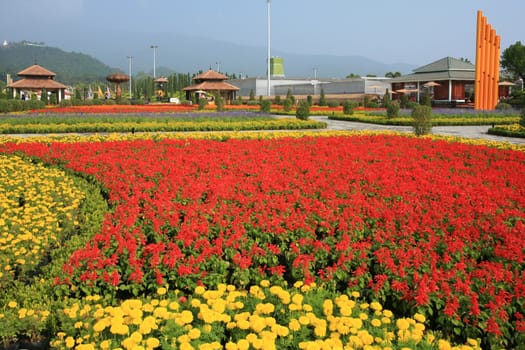 Royal Flora Expo, Chiang Mai, Thailand