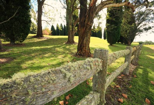 A timber fence is covered in lichens in the Southern Highlands, Australia