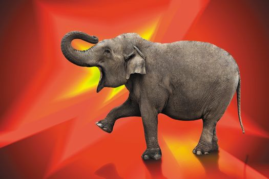 big elephant isolated with work path on red digital background