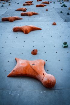 Climbing Wall