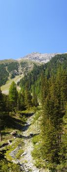 streambed in the Ortler massif