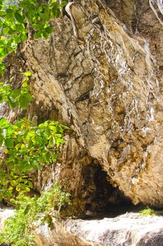 Limestone cave structure of tropical beach at island with growing trees and rain forest plants