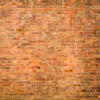 Brick wall texture