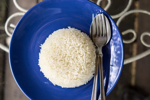 one dish of cooked rice,shallow focus