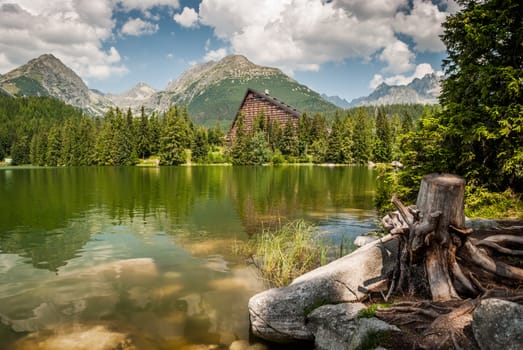 Strbske Pleso in High Tatras Mountains with stump in foreground