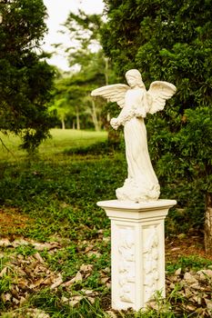 angel sculpture in the garden,Chiangrai,Thailand