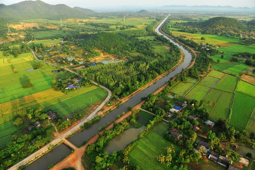 Bird eye view of rice field in Thailand