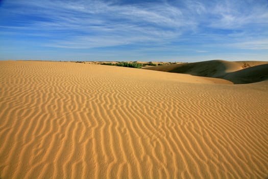 Sand dunes landscape