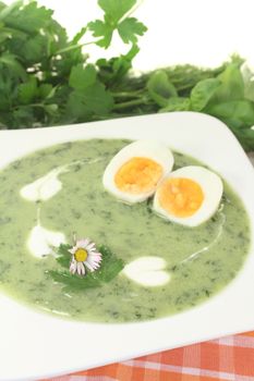 green herbs soup with eggs, daisy and a dollop of cream