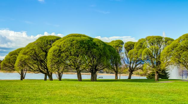 Beautiful green park panorama by the lake