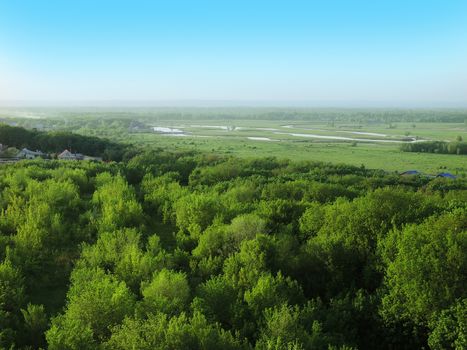 forest in summer and a meandering river on field