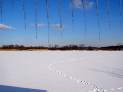 winter landscape with many snow and icicles