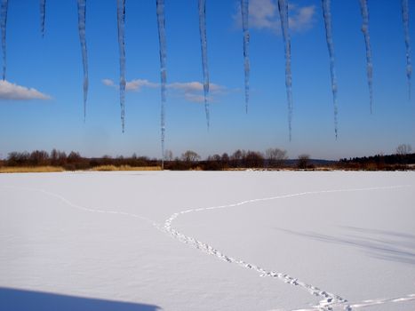 winter landscape with many snow and icicles