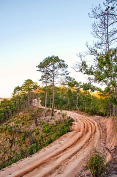 Forest Road in Chiang Mai Thailand.