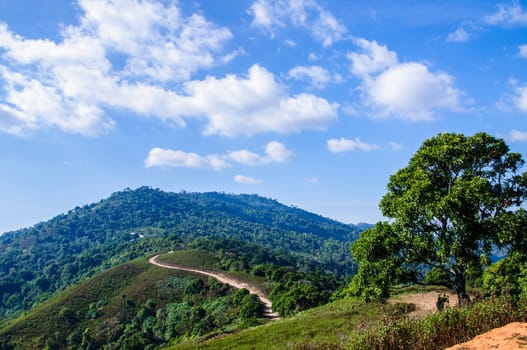 Road on mountain northern Thailand, Chiang Mai.