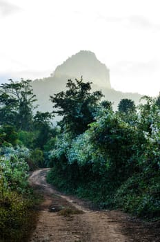 Rural road through green fields with mountain